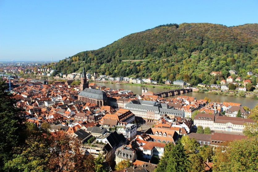 6a41bf5f9af35d00ede283676d3602c8_1716365194_46.jpg